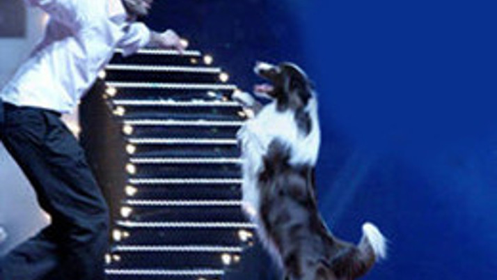 Türkiye'nin yeni yeteneği belli oldu